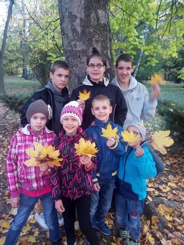 image-5
