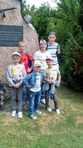 image-8